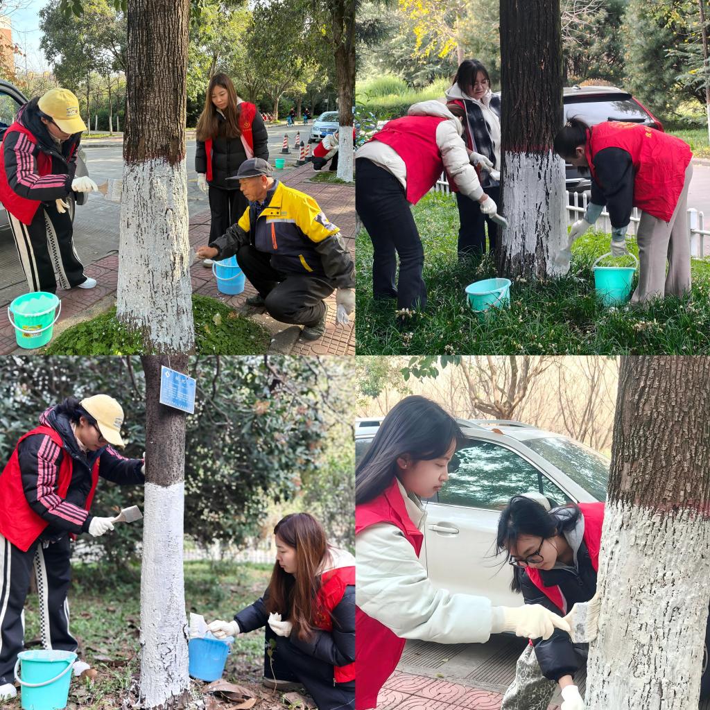 党徽映绿植 刷白暖寒冬